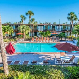 Magic Tree Resort
